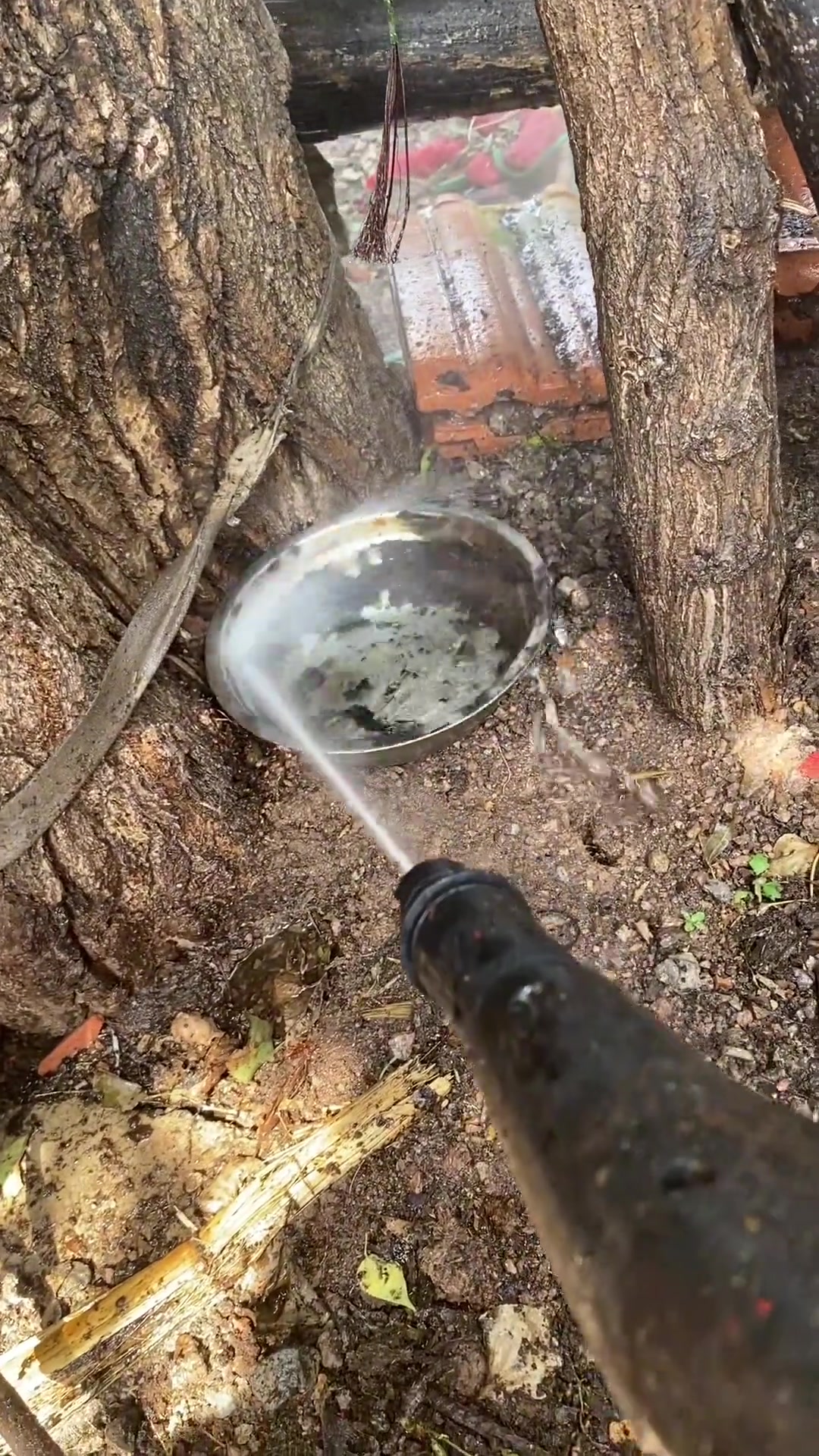 聪明啊！那这个当陀螺玩！