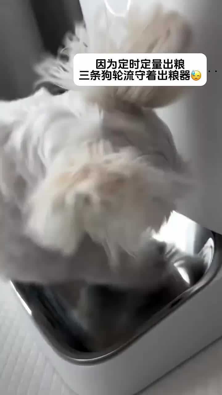 彻底疯狂！怎么还不开饭