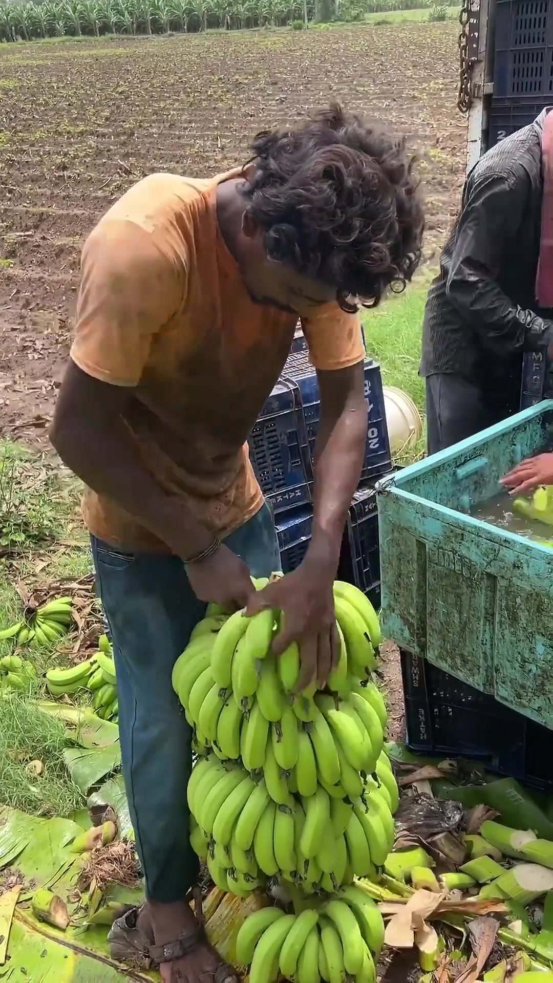 吧友们觉得，如果不泡水的话，会不会更干净