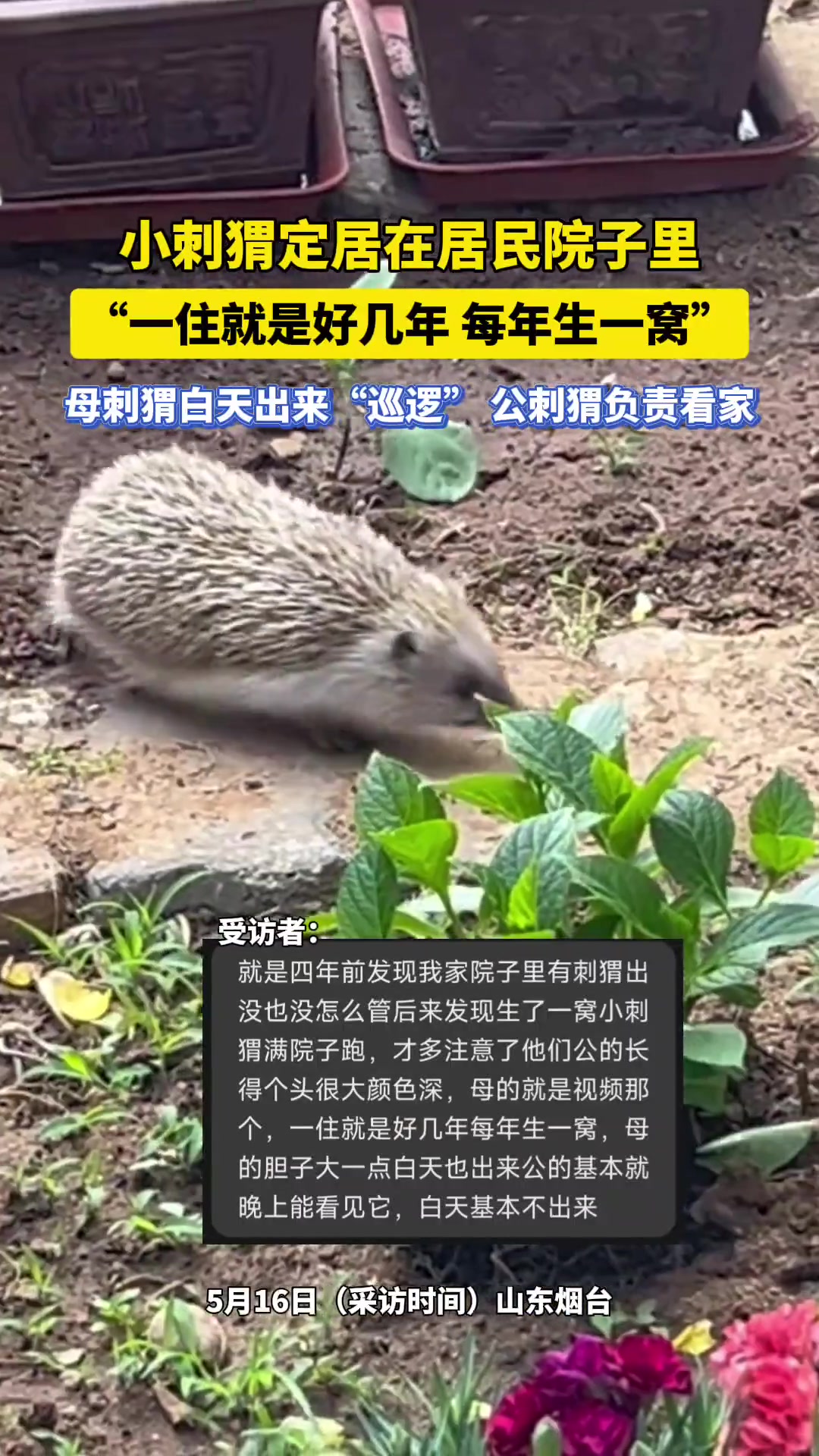 这也算的上是一种男耕女织各司其职吧