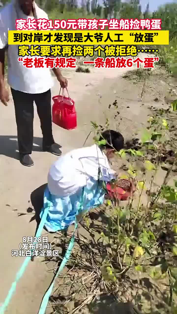 家长带孩子坐船捡鸭蛋，到对岸才发现是大爷人工“放蛋”