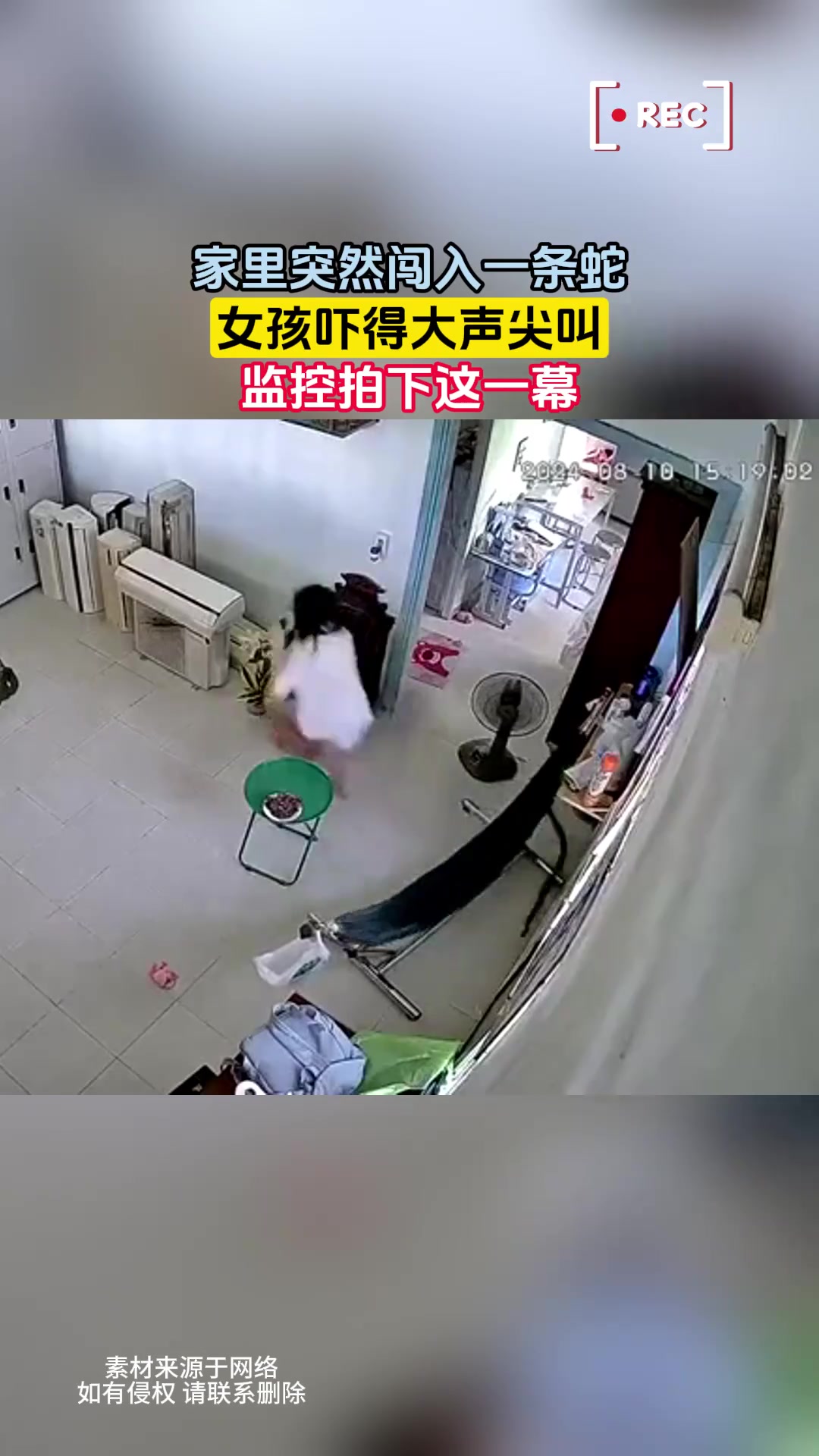 家里突然闯入一条蛇，女孩吓得大声尖叫，监控拍下这一幕！