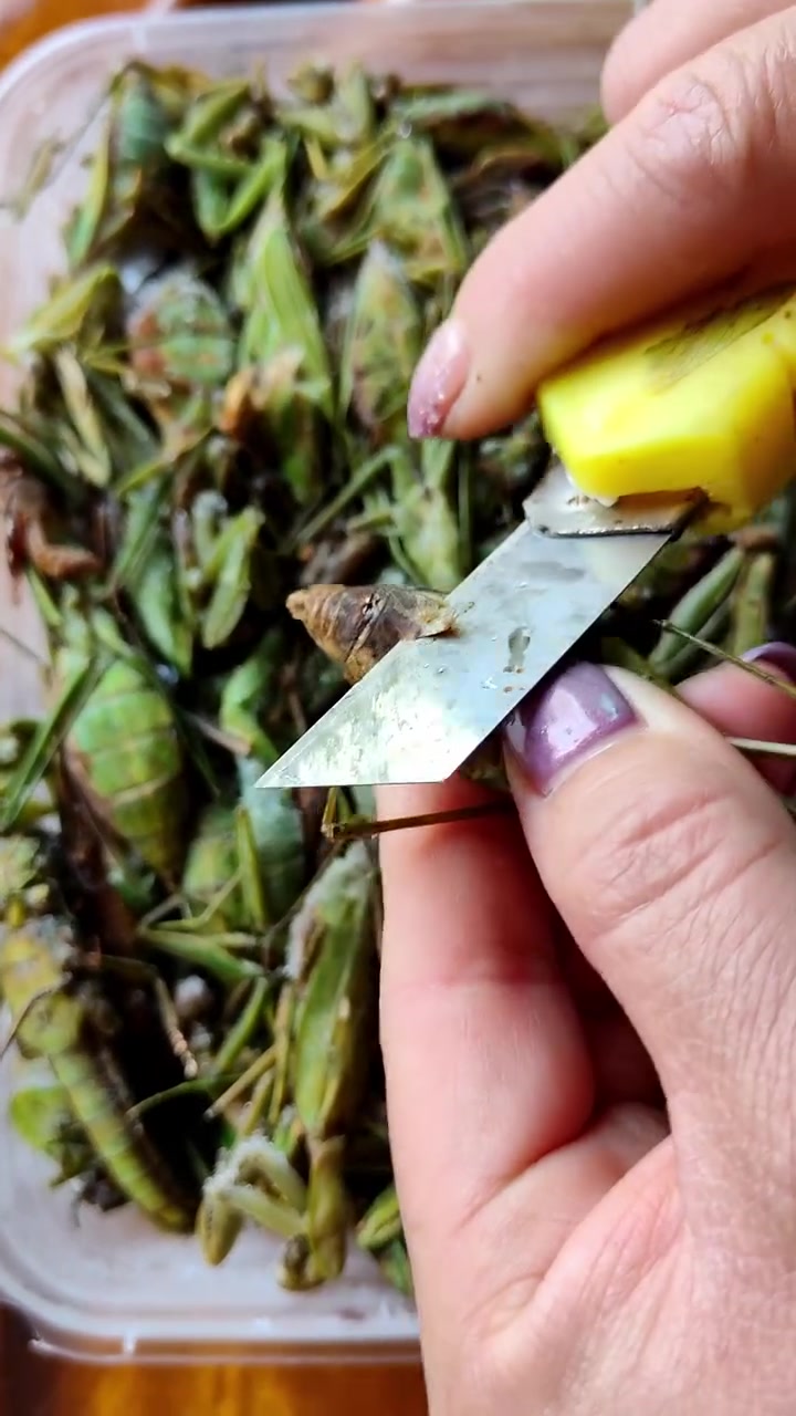 网友：没有铁线虫我不吃！