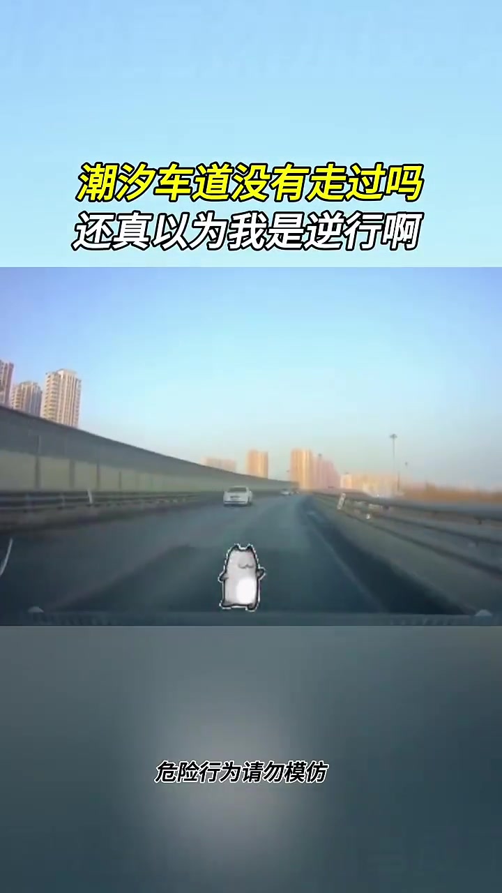 这算是逆行吗网友：这个位置难道不是潮汐车道吗