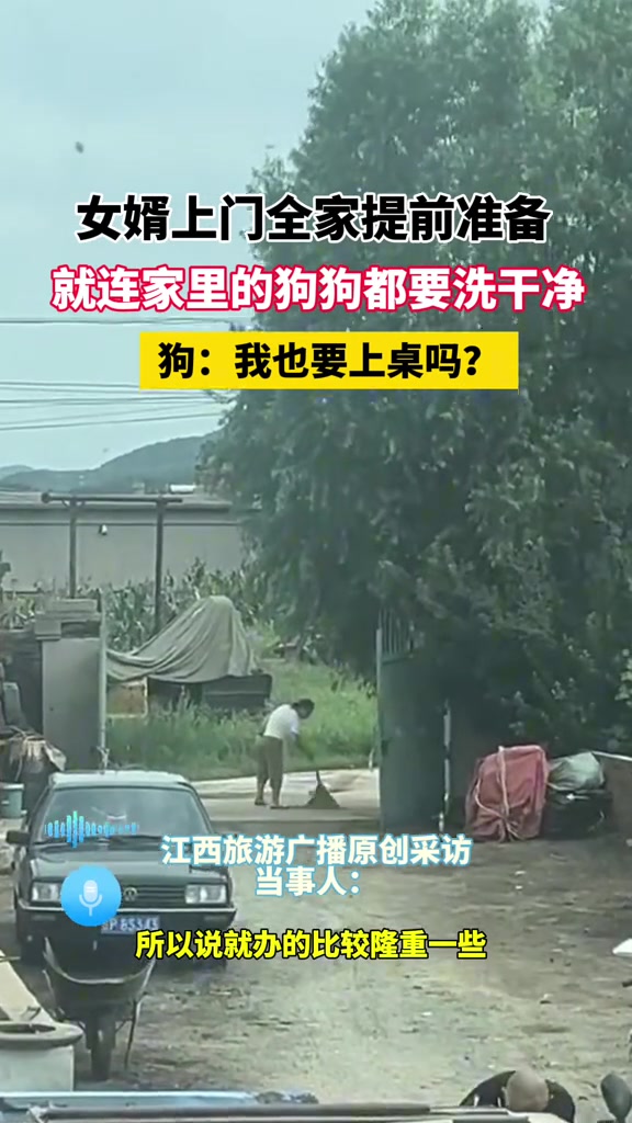 女婿上门全家大扫除连狗都洗干净了！