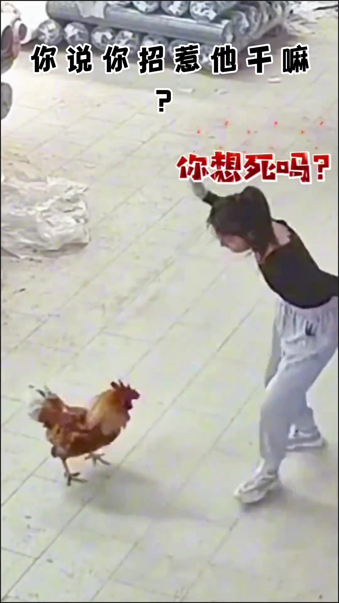 谢宝庆啊谢宝庆，你去惹她干什么