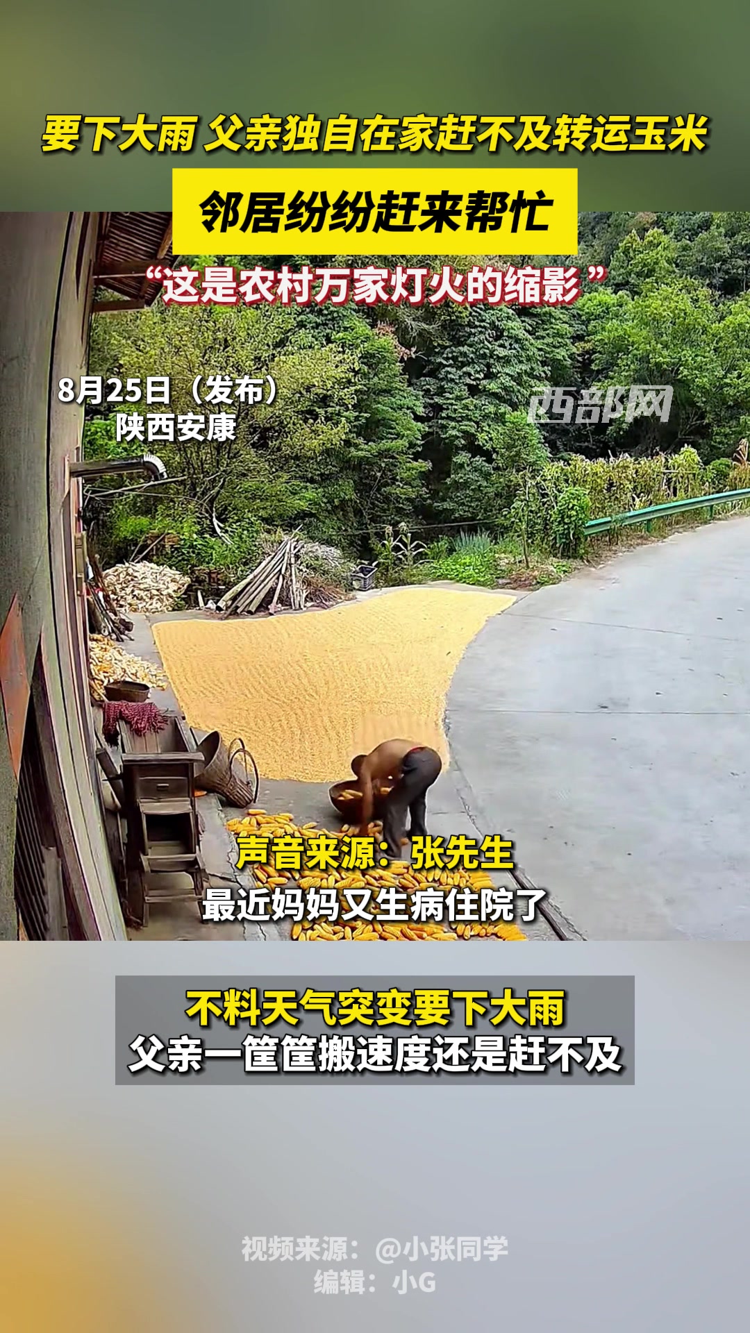 暖心！快下大雨男子独自收玉米邻居纷纷来帮忙
