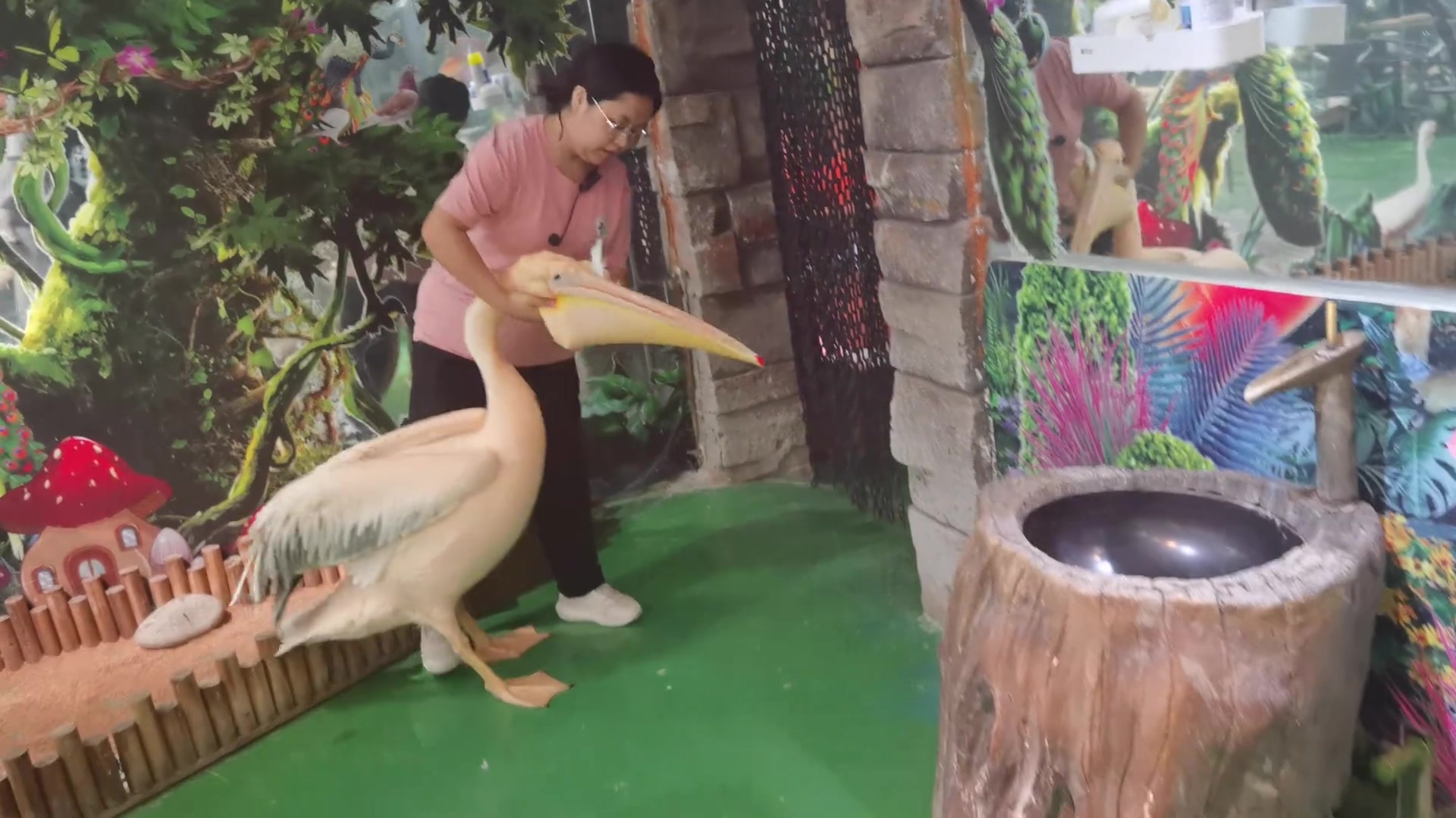 鹈鹕吃鸽子！同事再不对你也不能吃同事啊