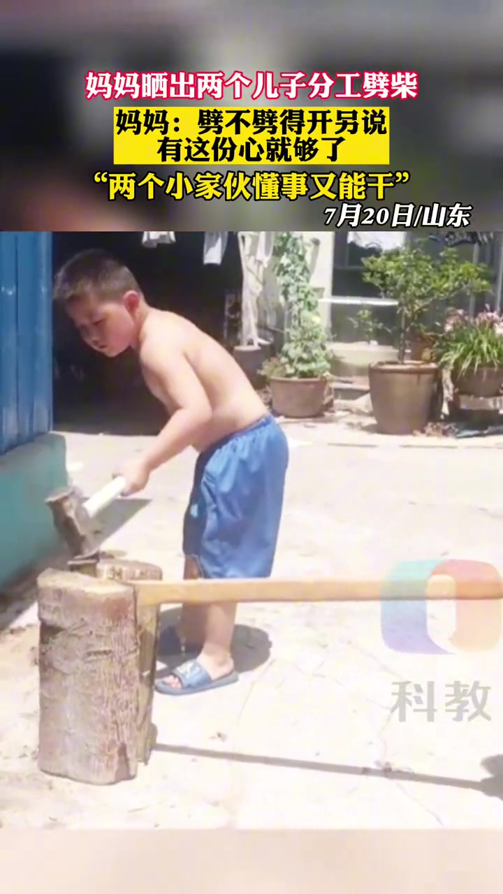 这两小子也太聪明了吧