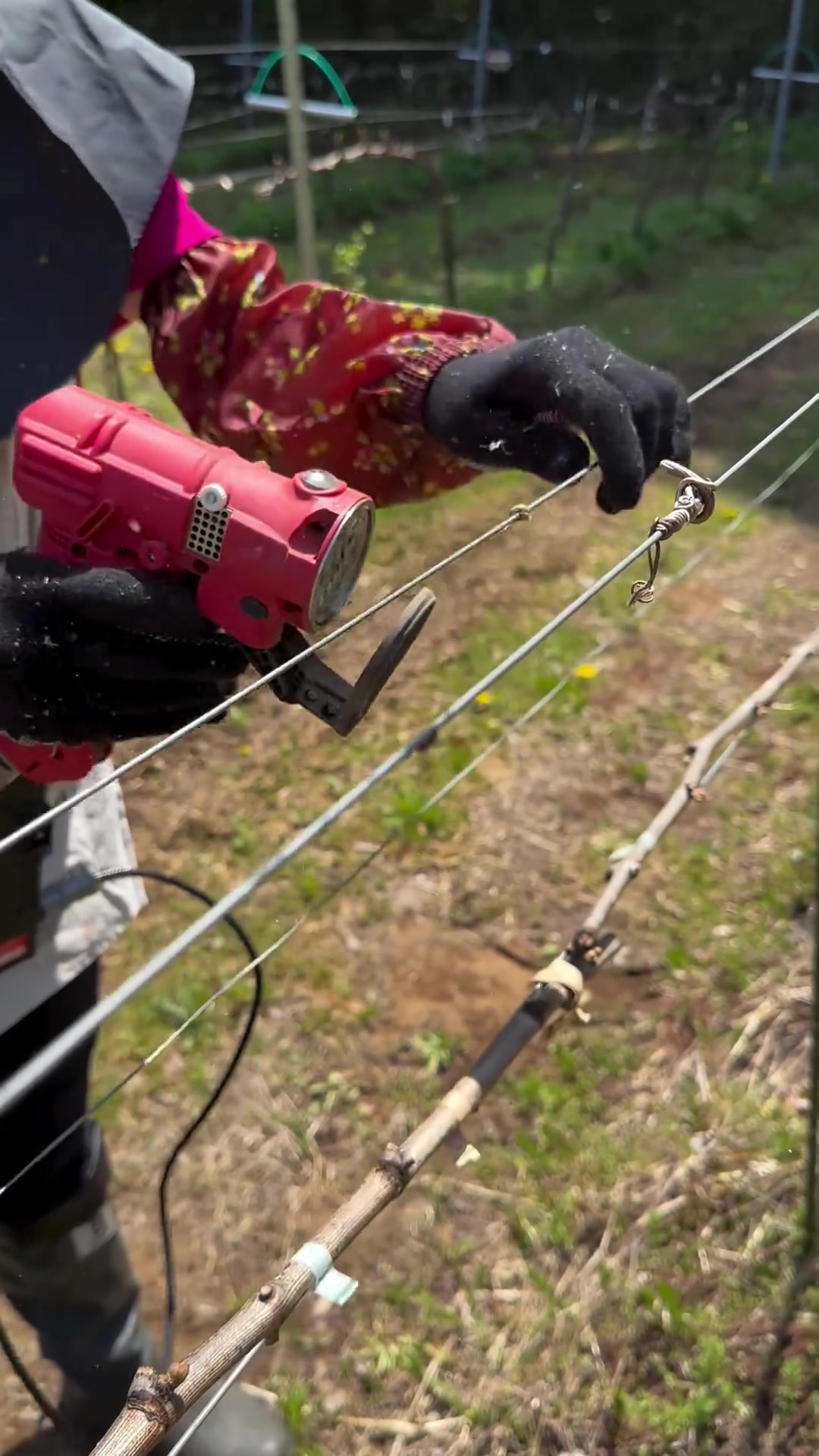 须蔓有了这样的工具太好处理了！！