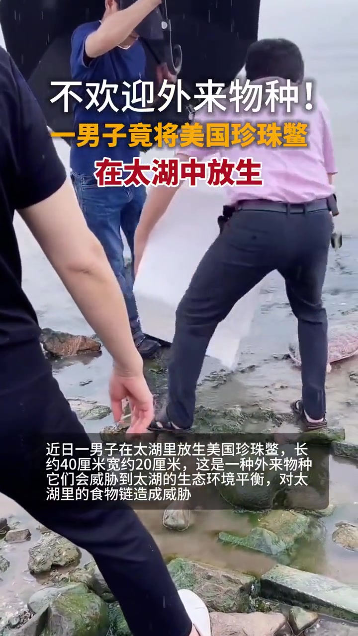 不会放生建议不要放生