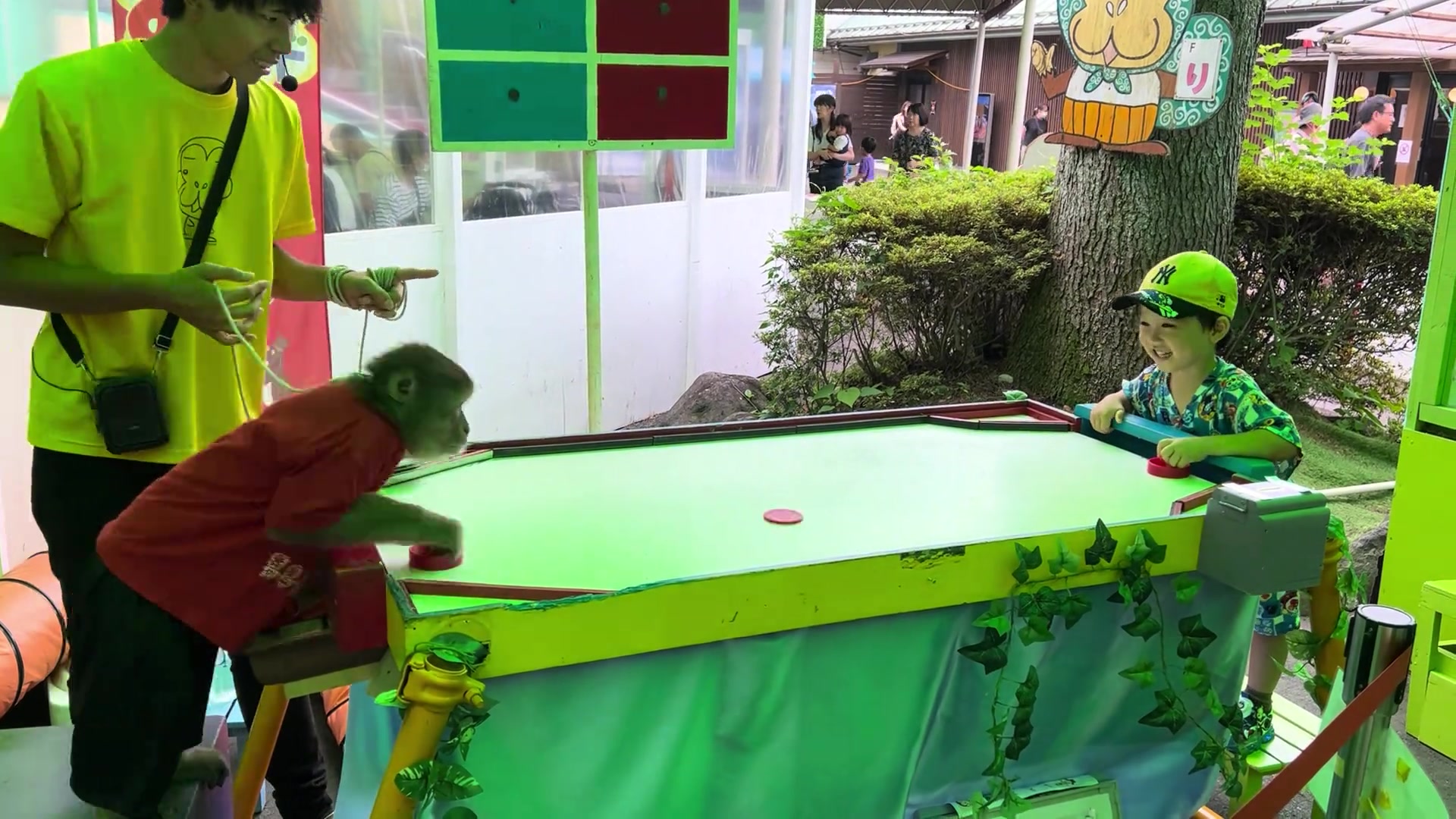 猴哥：叫你家大人来打