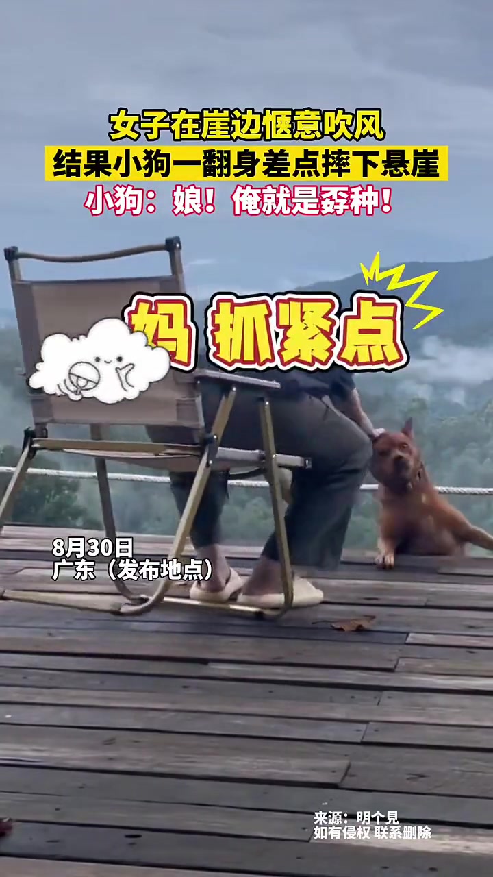 真捡回一条狗命