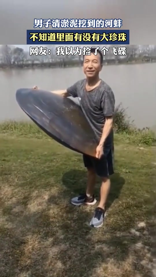 男子清淤泥挖到的河蚌，不知道里面有没有大珍珠！！