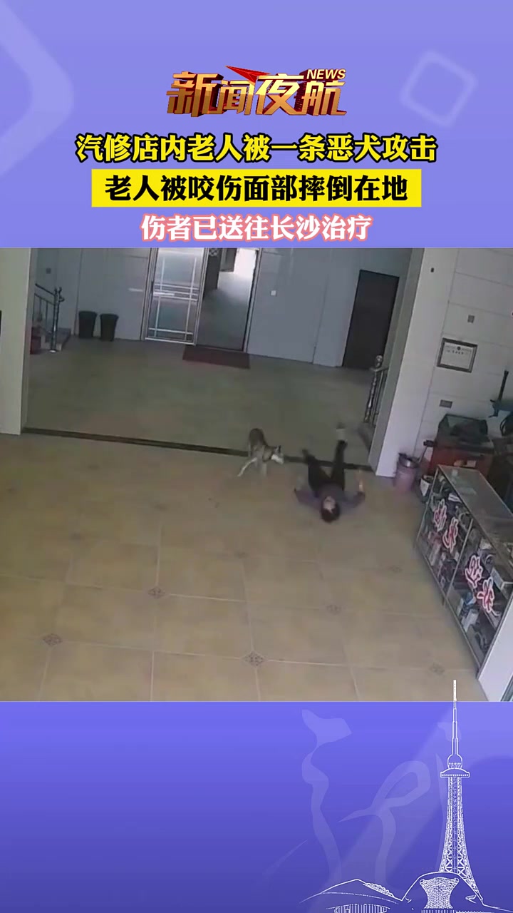 是流浪狗吗！老人被一条恶犬攻击，被咬伤面部摔倒在地