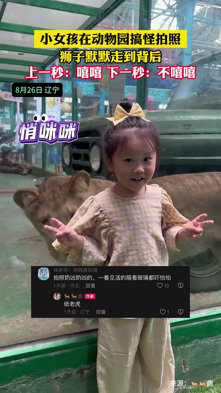小女孩在动物园搞怪拍照狮子默默走到背后