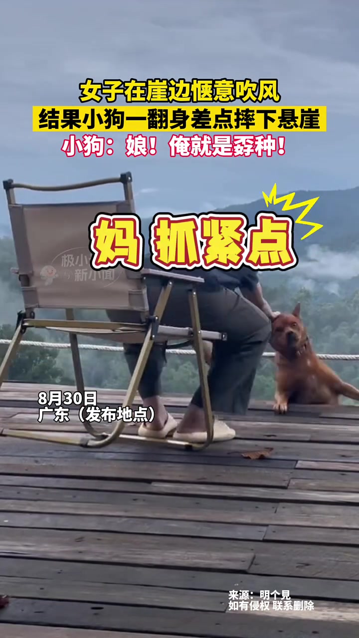 女子在崖边惬意吹风，结果小狗一翻身差点摔下悬崖