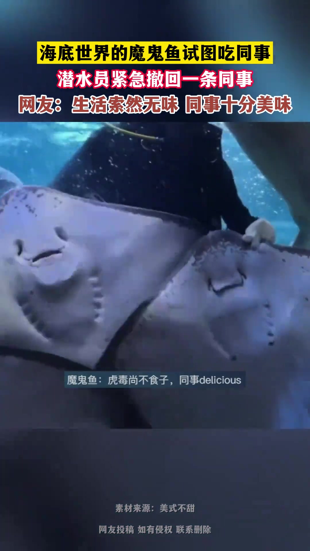 生活索然无味，同事十分美味！