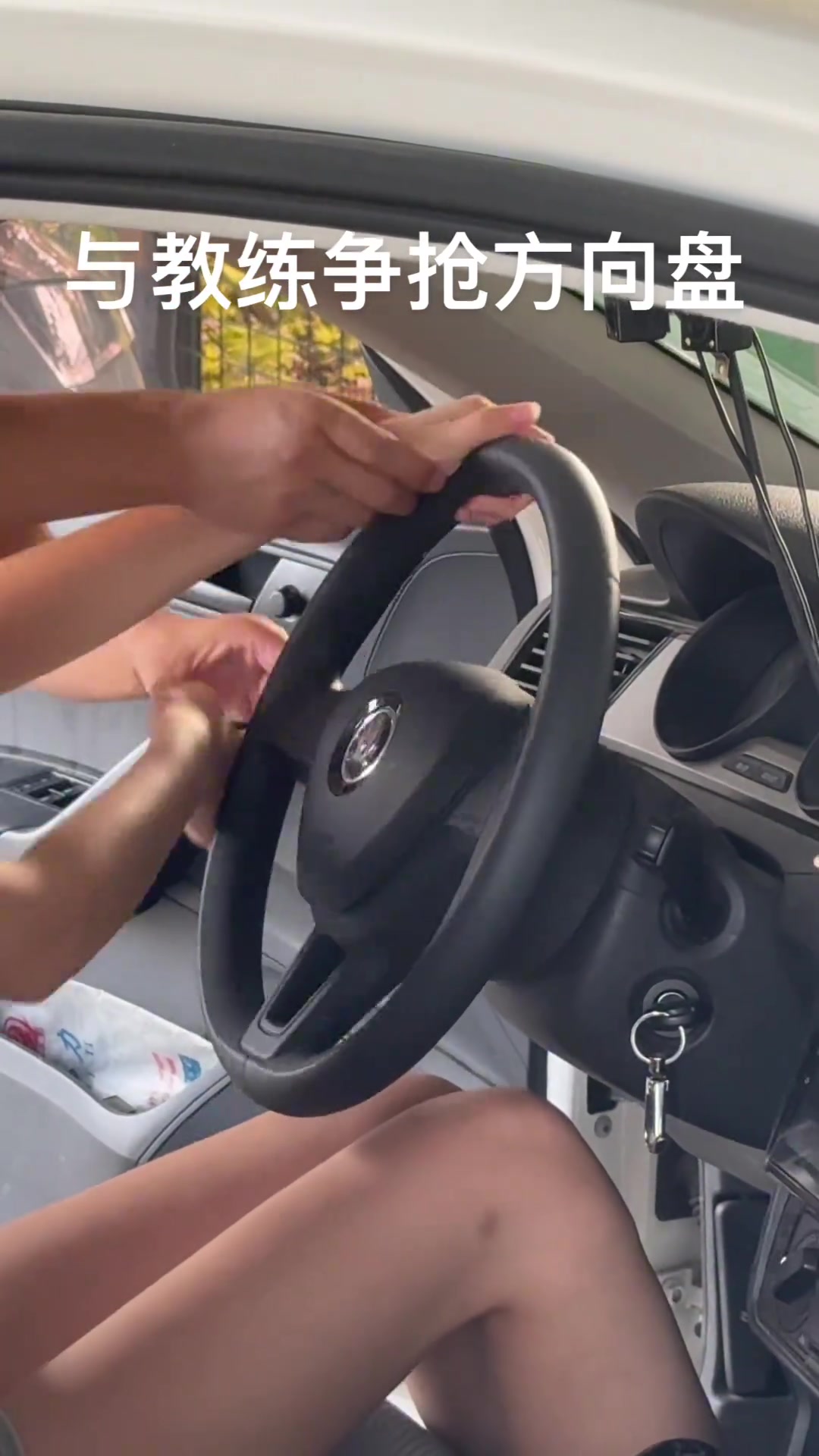 人类早期驯服方向盘...