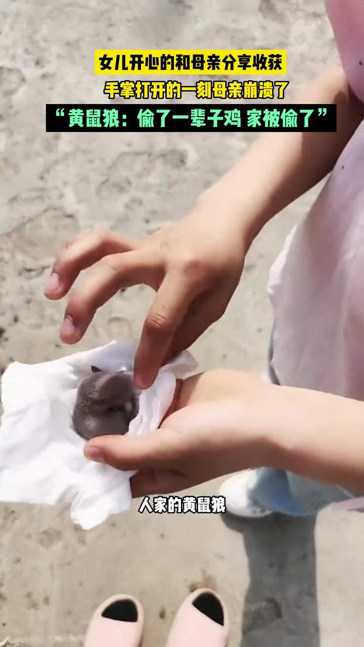 女儿开心的和母亲分享收获，手掌打开那一刻母亲崩溃了！！