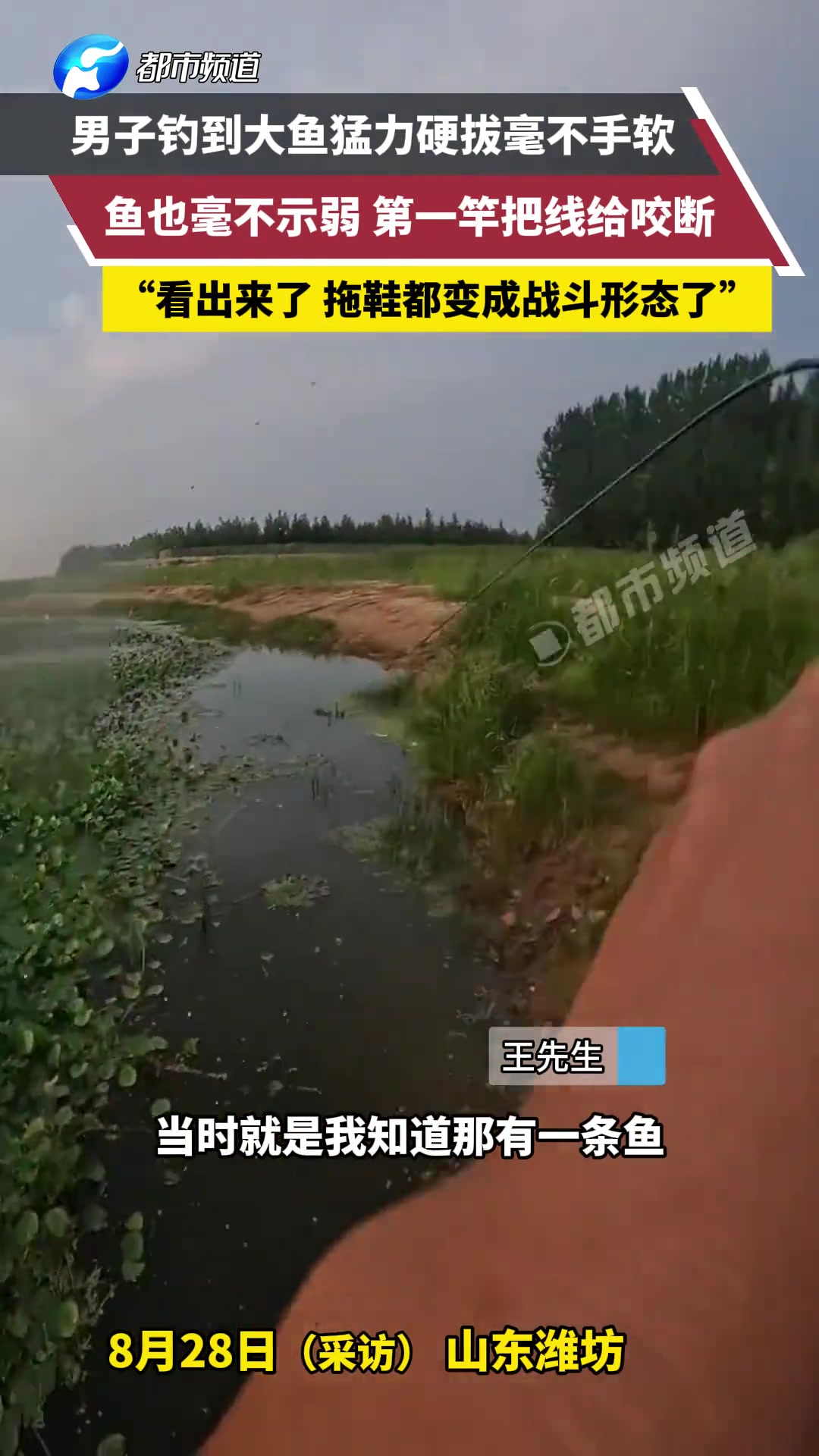 男子钓到大鱼猛力硬拔毫不手软，鱼第一竿把线给咬断！