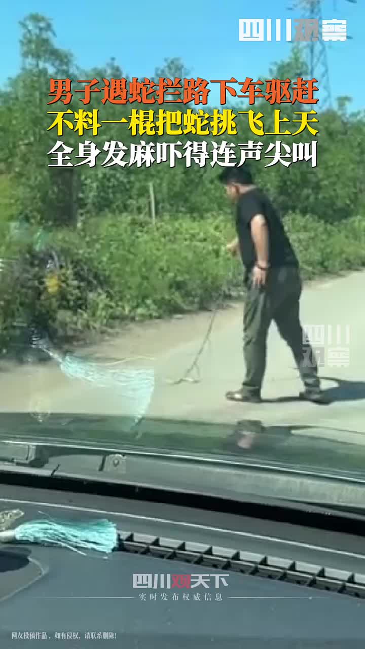 半路遭遇蛇拦路，男子棍挑蛇上天，瞬间吓得全身发麻