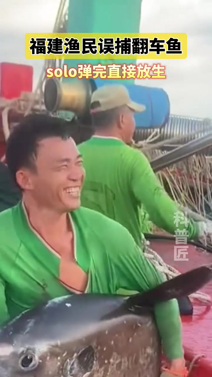 渔民误捕翻车鱼，玩完后直接放生
