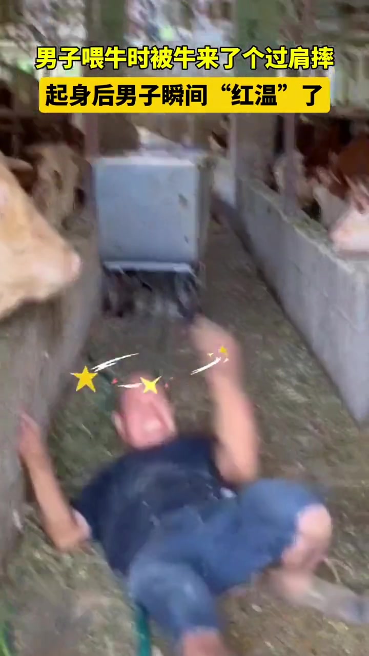 打舍不得，骂还听不懂