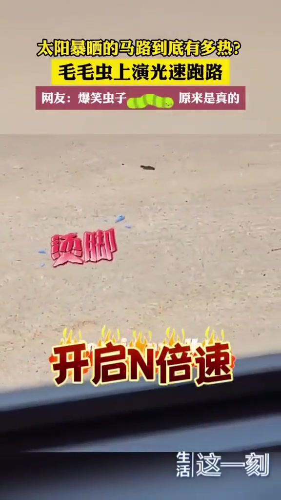 这地表温度，你爬你也快