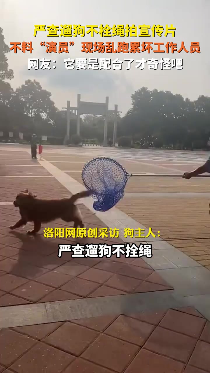 这要让它“配合”有点难度