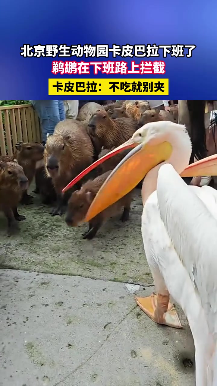 青春没有售价，同事全尝一下