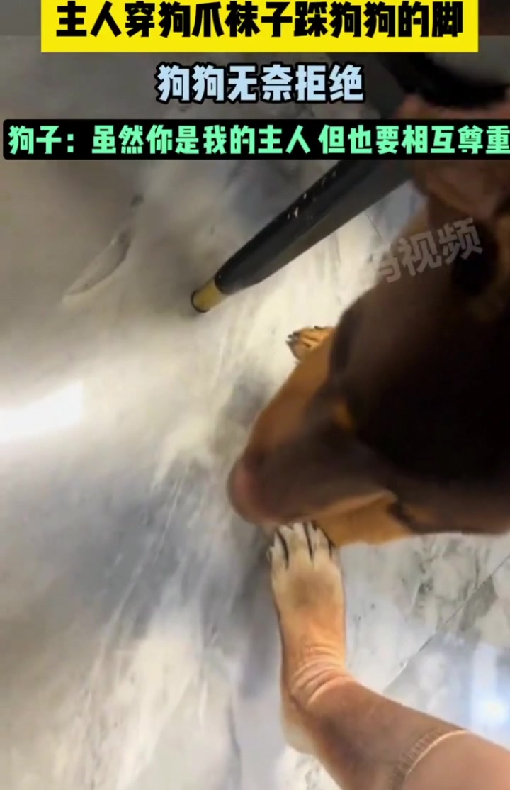 狗：虽然我不是人，但你的行为和狗没区别了