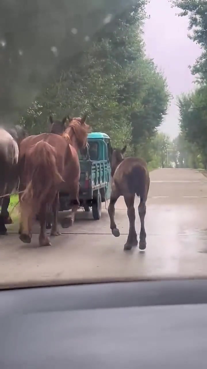 这就是“马刹拉地”吗
