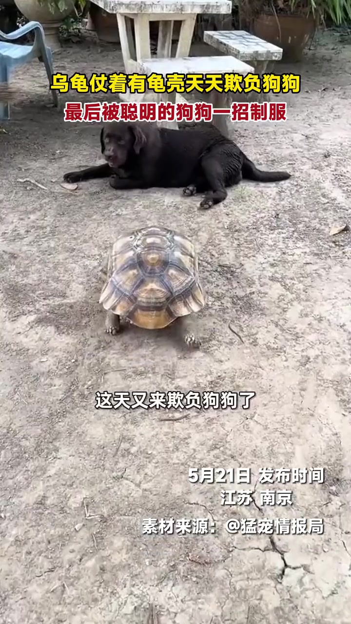 怎么感觉他要被搂了呀