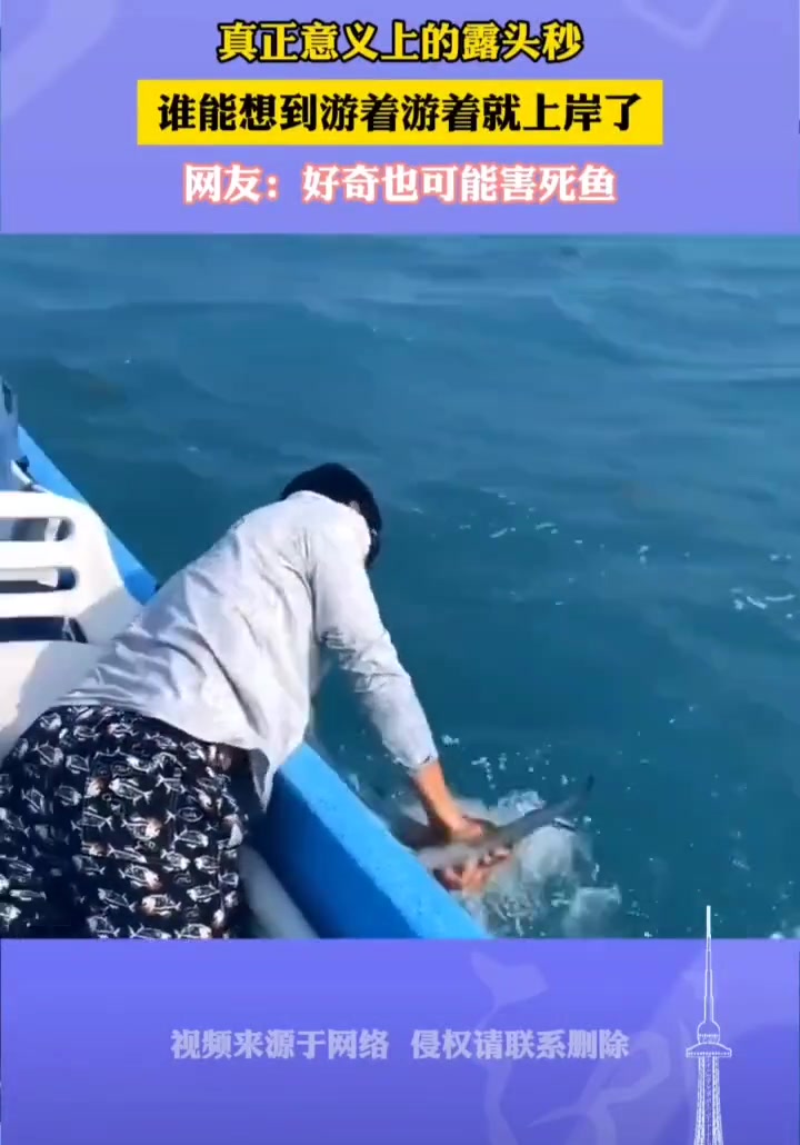 真正意义上的露头秒！谁能想到游着游着就上岸了