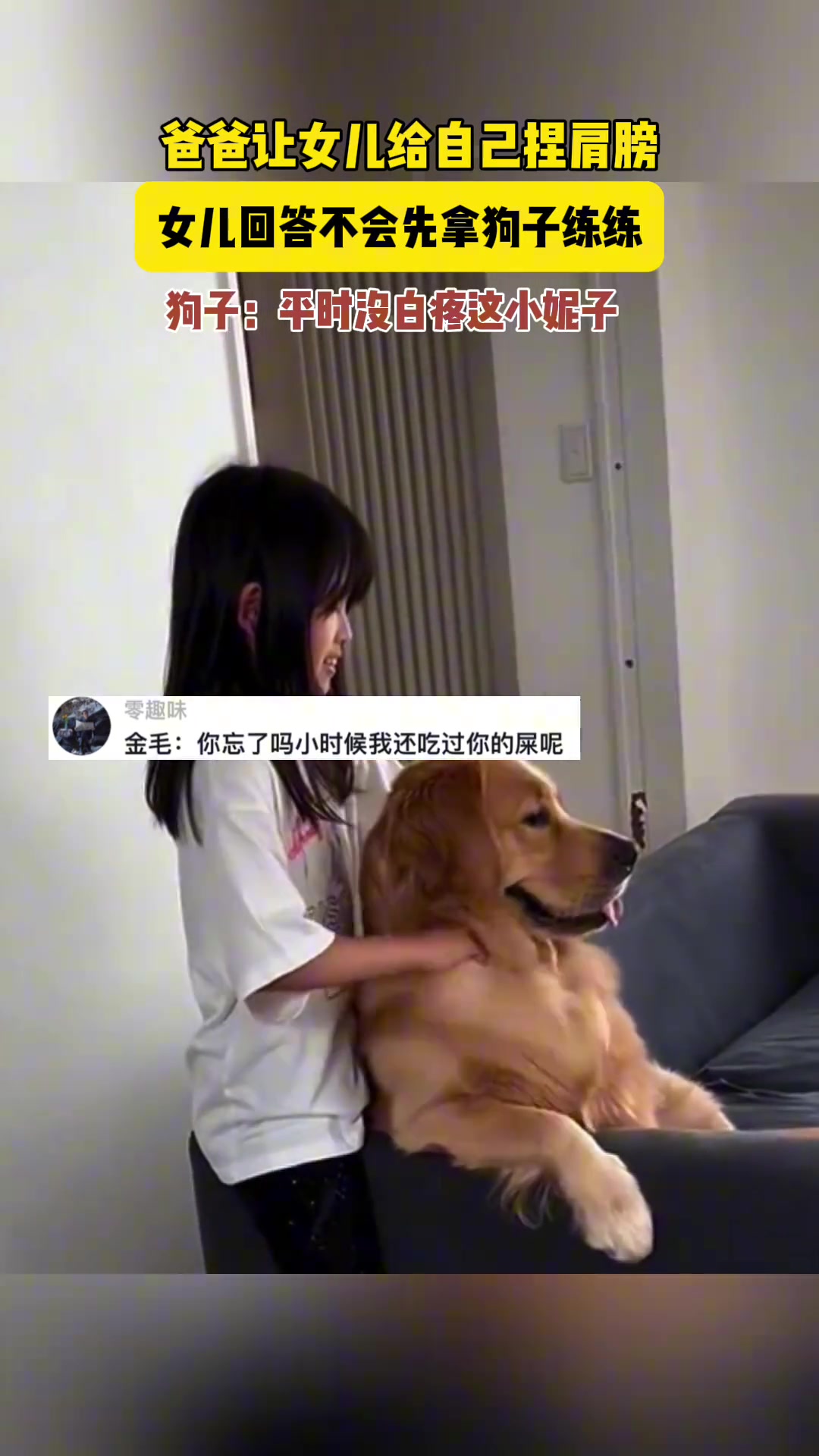 狗子：不错不错，平时没白疼你