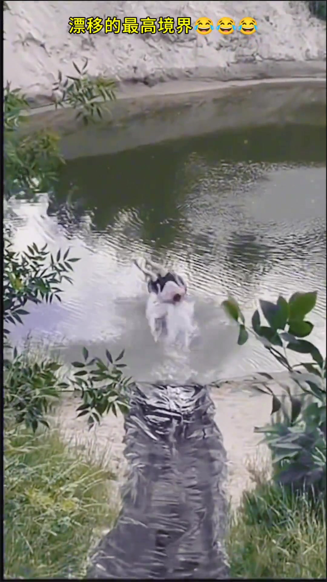 百年一遇的打水漂