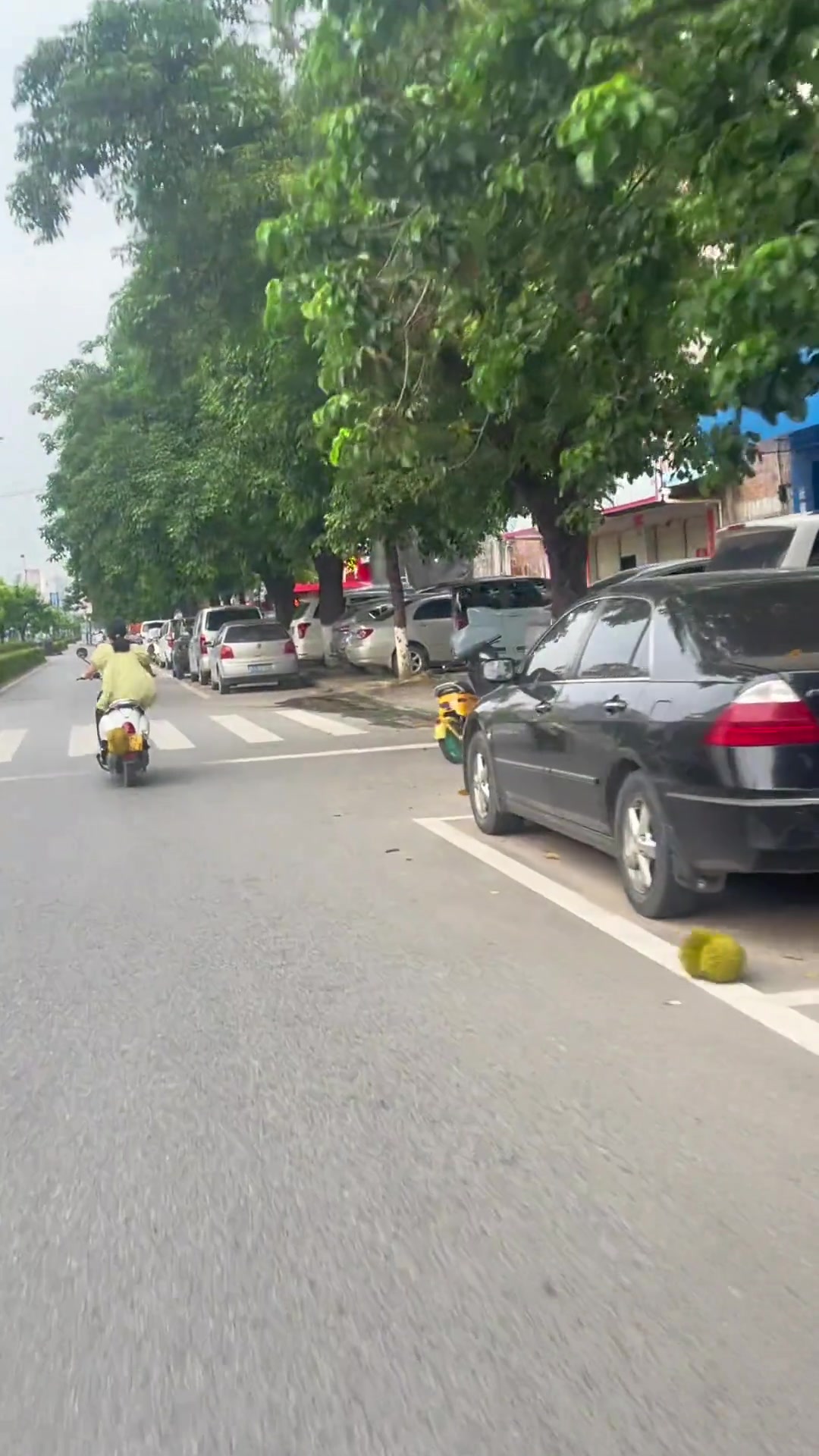 噢嚯！今晚有榴莲吃哦