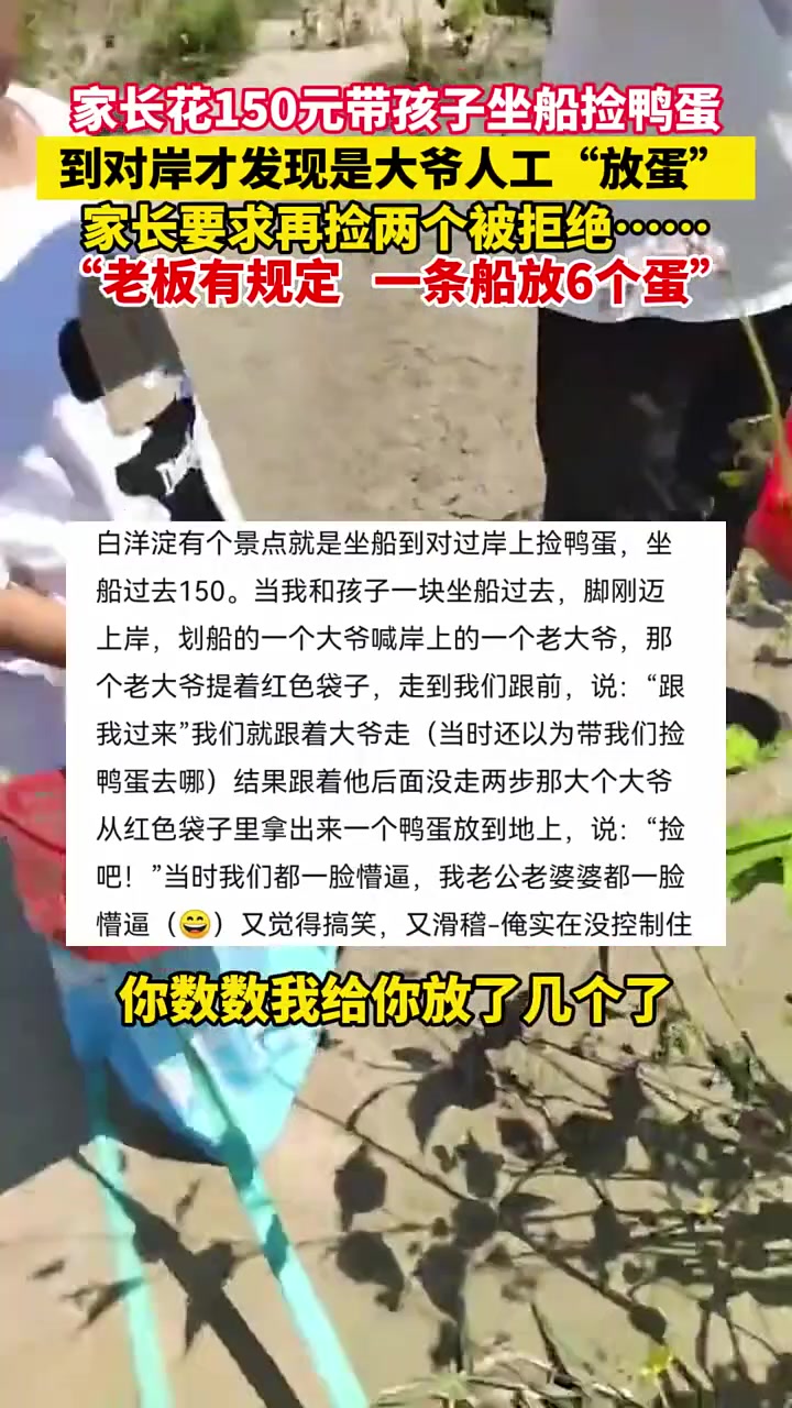 家长花150带娃坐船捡鸭蛋，才发现蛋都是大爷放的
