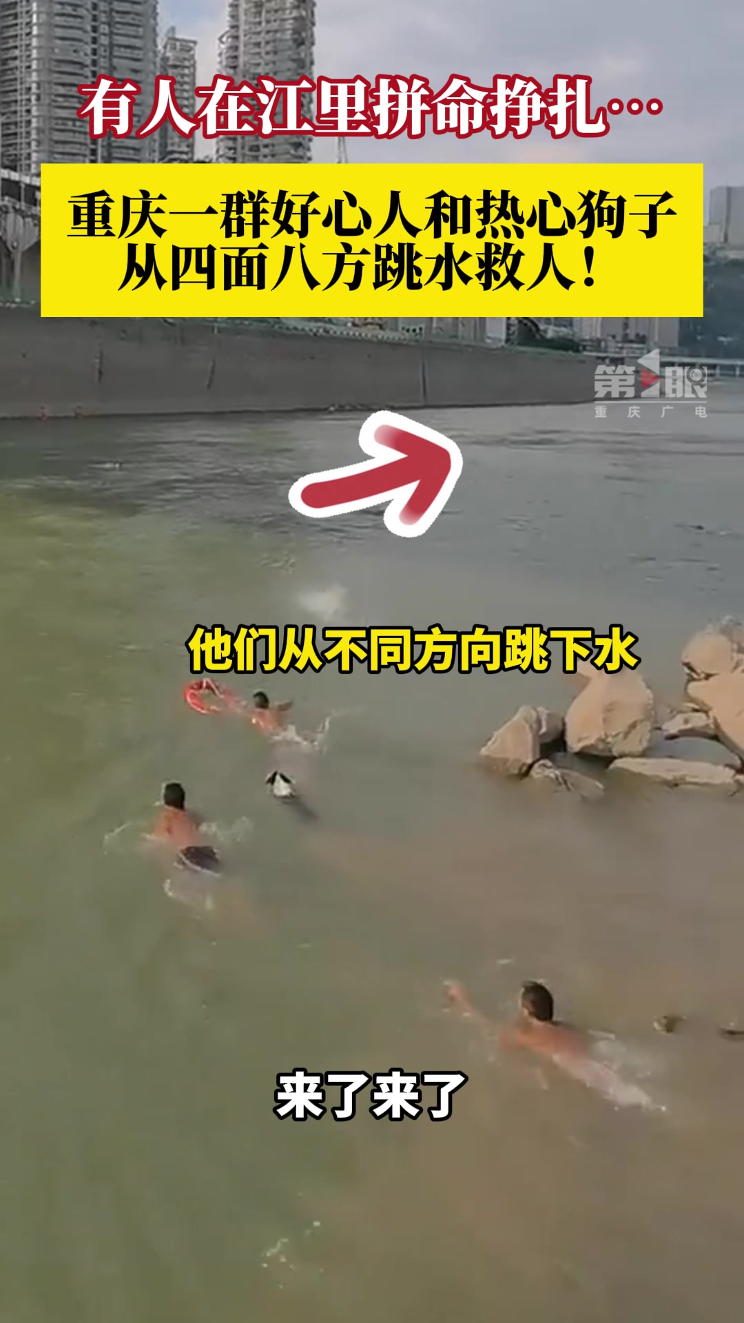 小孩不慎落水，一群好心人从四面八方下水救援