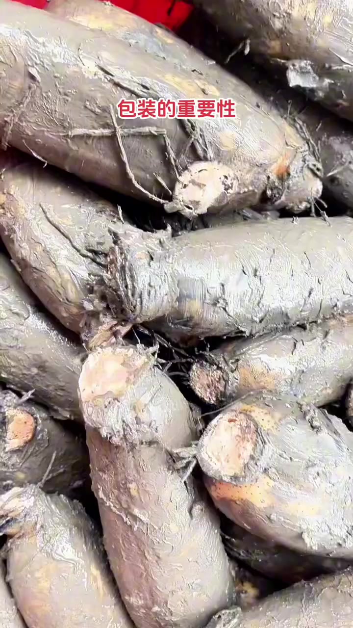 泥巴一沾身价倍翻