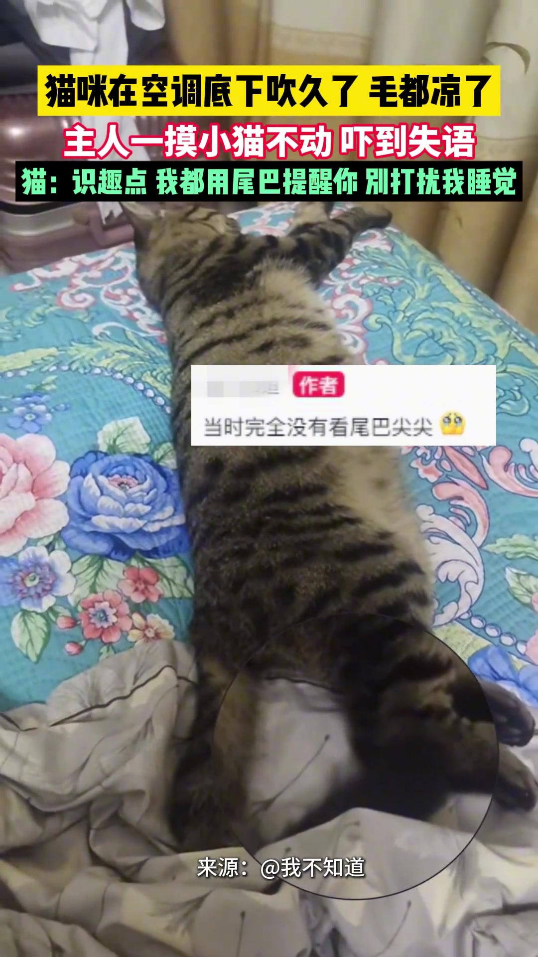 还以为死了！我是凉快，不是凉了！