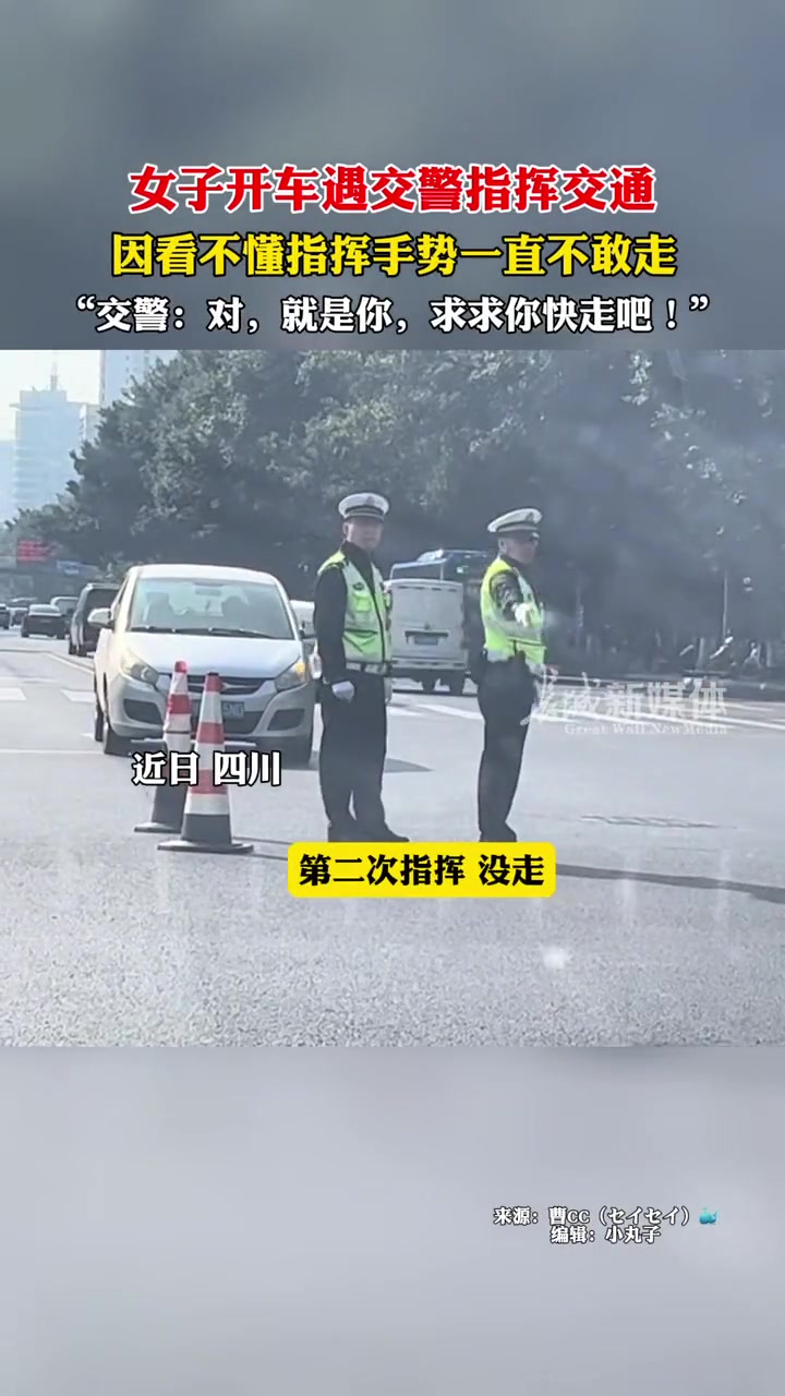 交警蜀黍：对，就是你，快走吧