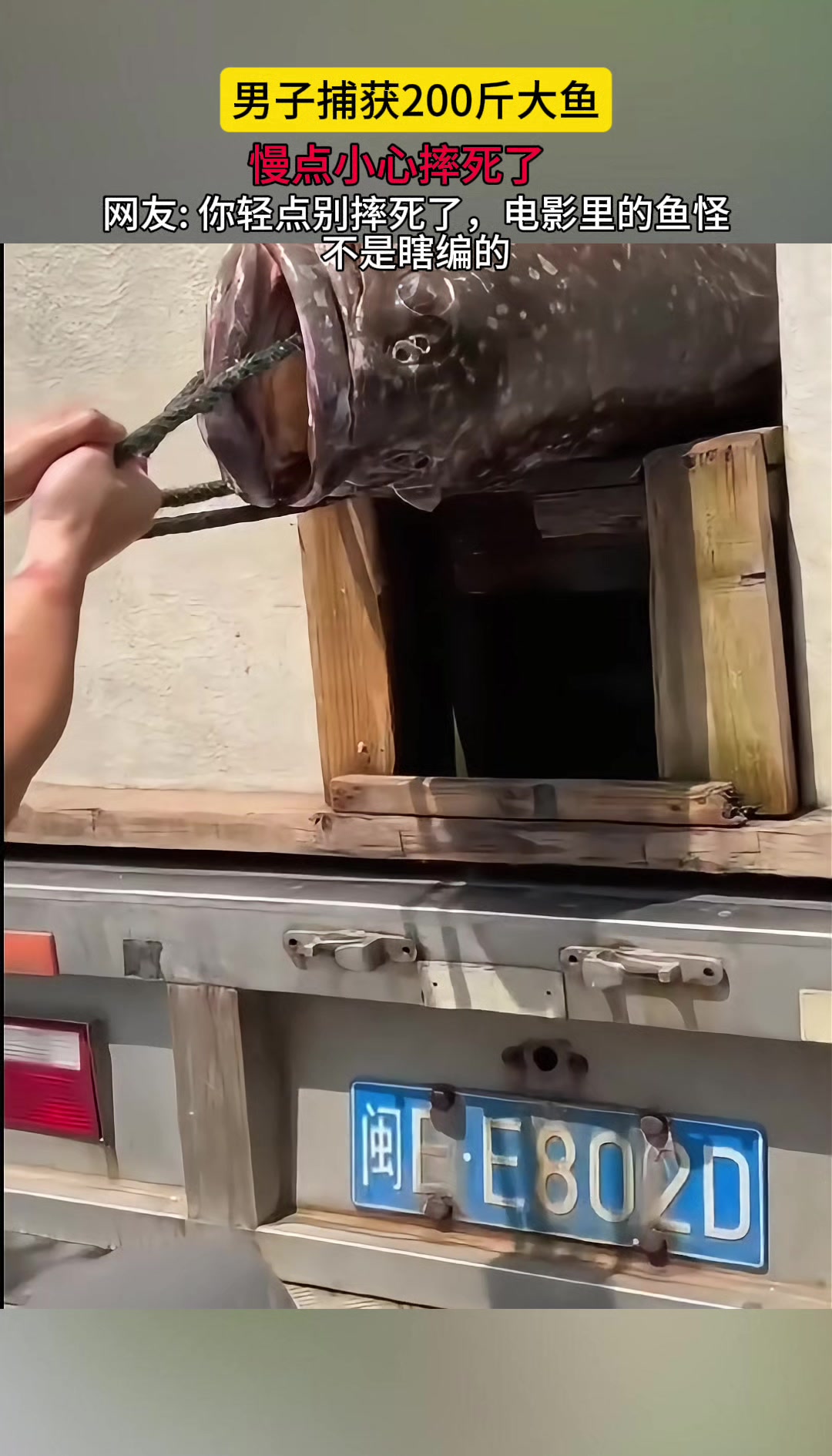 男子捕获200斤大鱼，慢点小心摔死了！！
