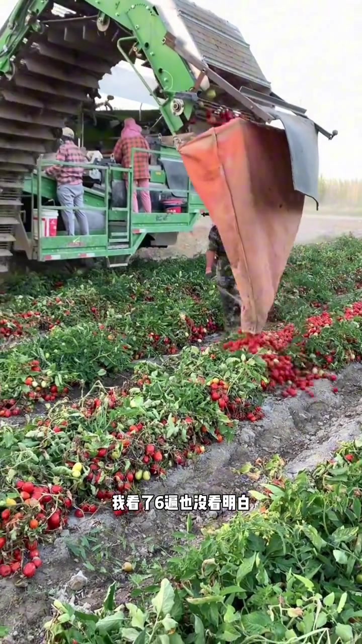 看了6遍也没看明白，这是什么操作