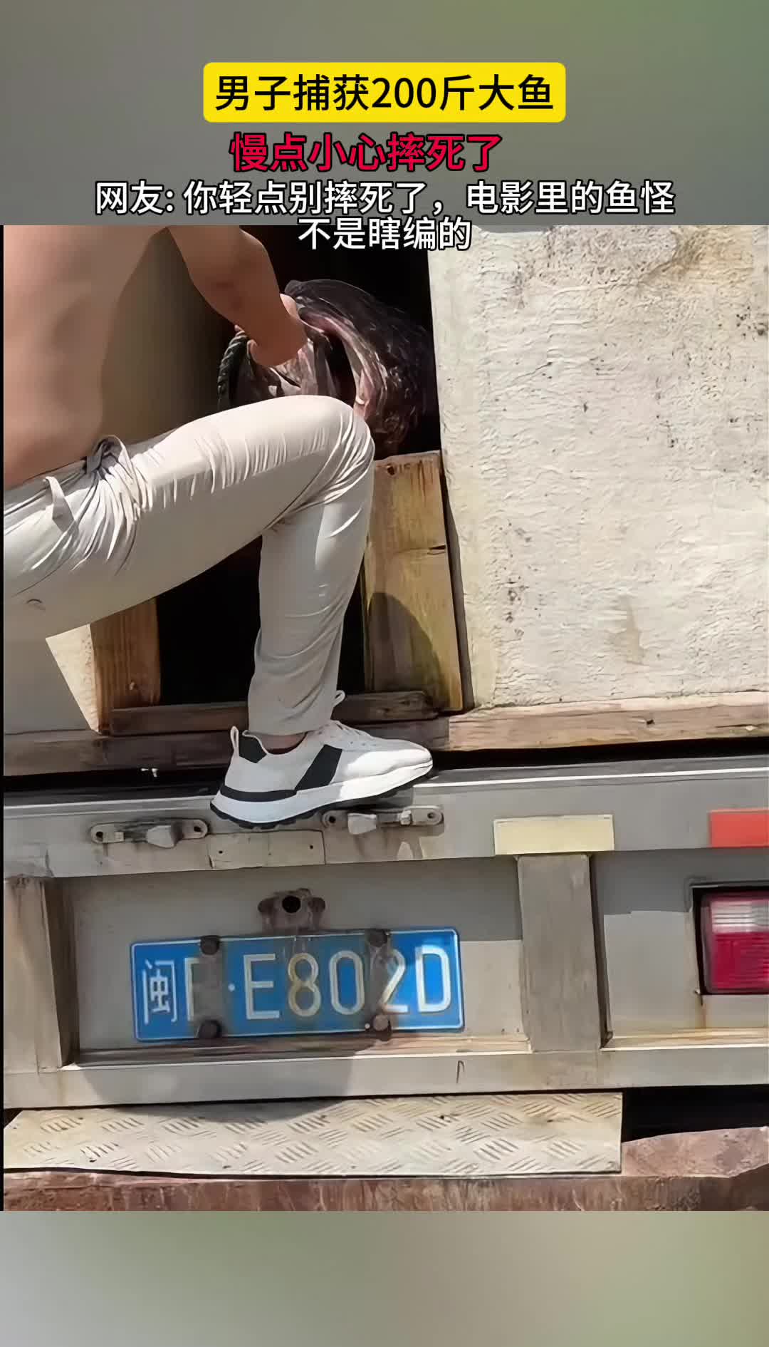 慢点！小心摔死了！男子捕获200斤大鱼，跟异性怪物一样！