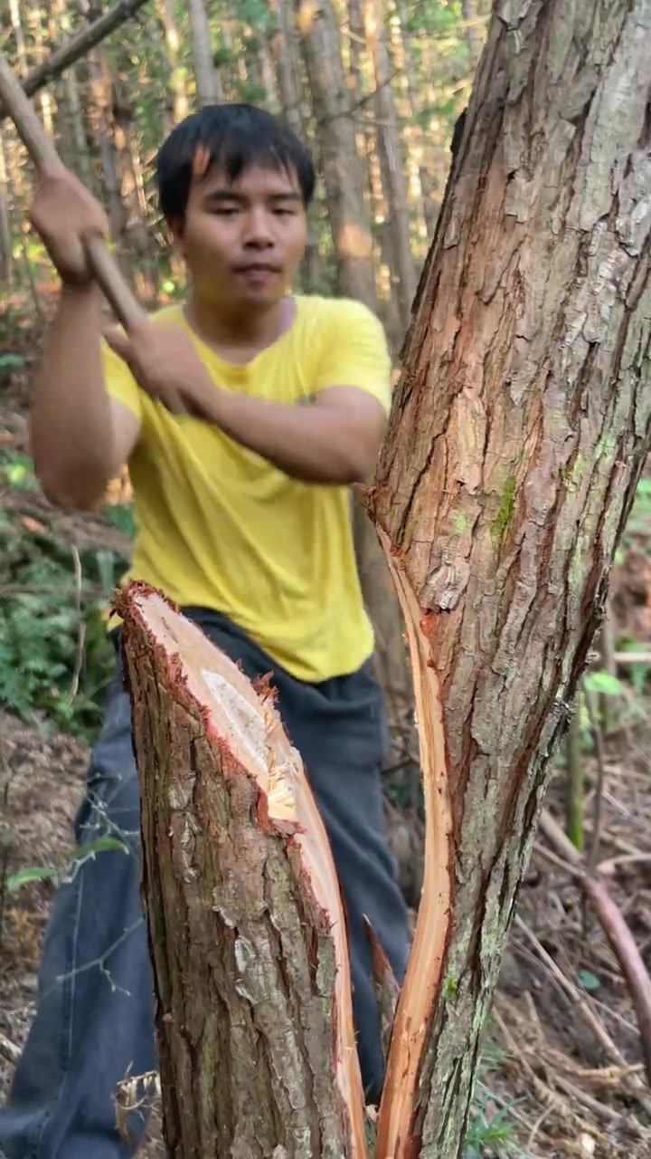 这大镰刀可以直接砍树这原本是做啥用的