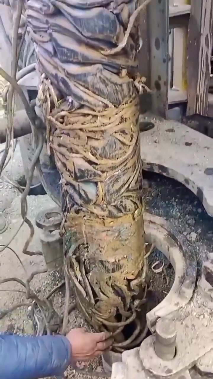 老板！你猜我打井打出来了啥这可真刑！