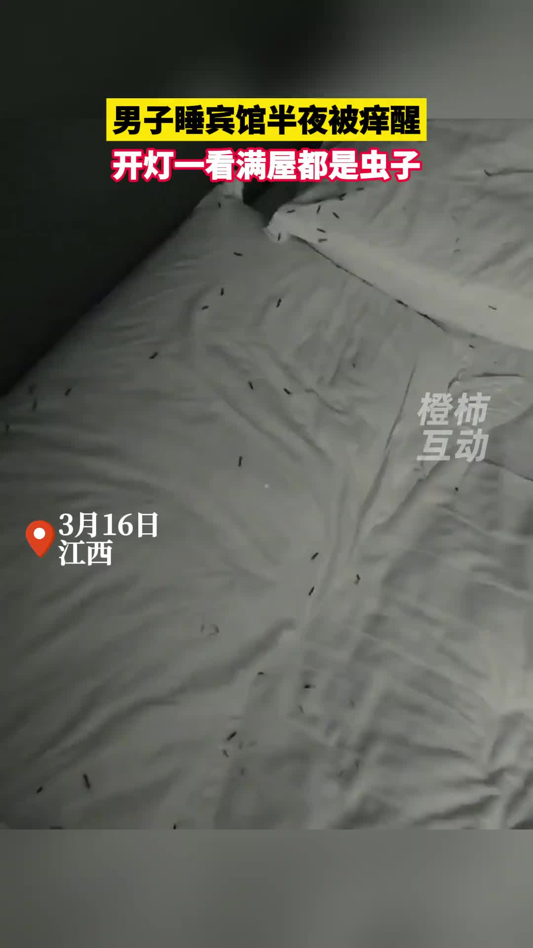 男子睡宾馆半夜被痒醒，开灯一看满屋都是虫子！！