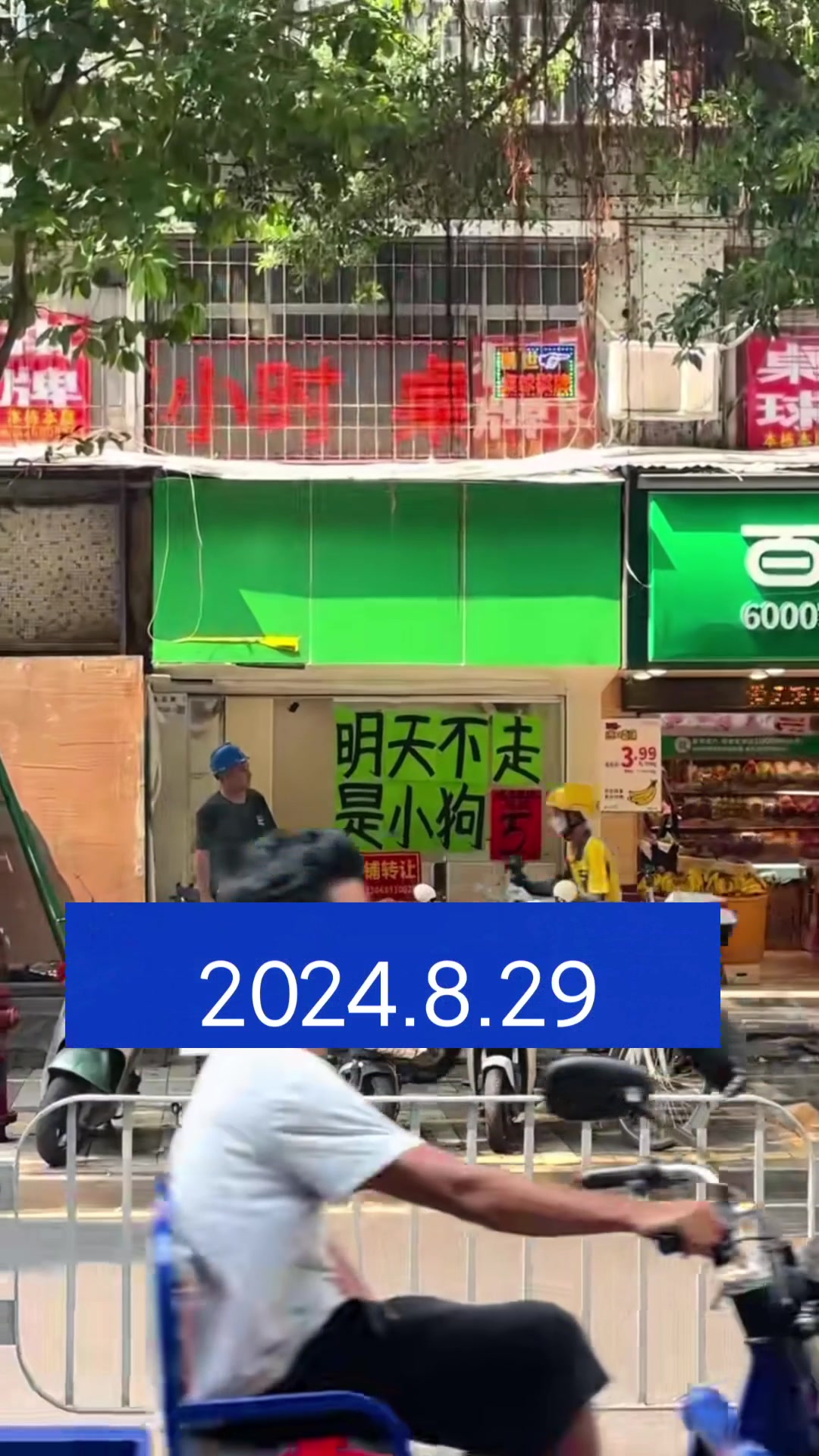 每天都当小狗的感觉可太好了！